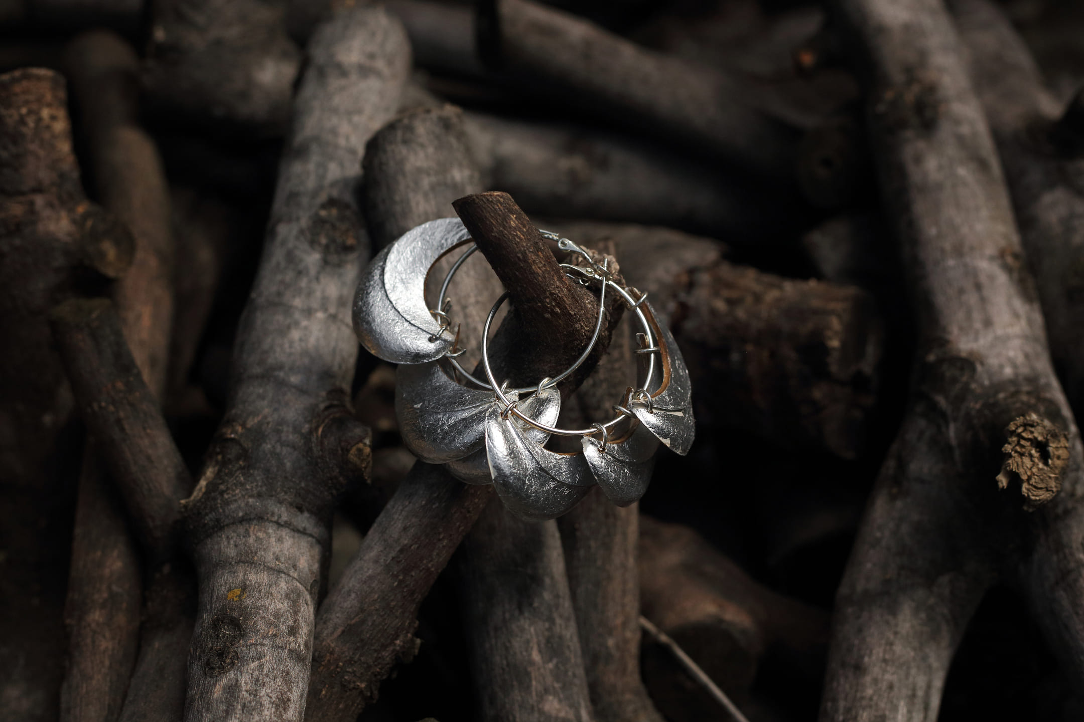 Créoles en argent posées sur branches de bois
